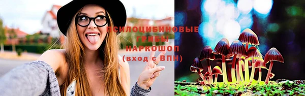 спиды Абаза