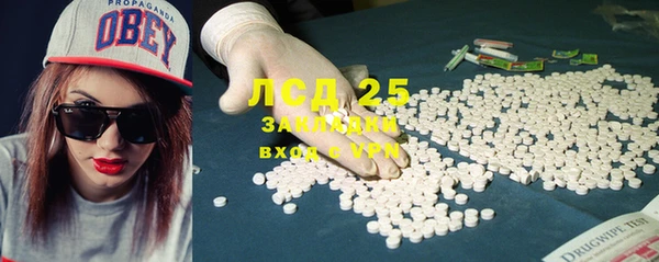 прущие грибы Алексеевка
