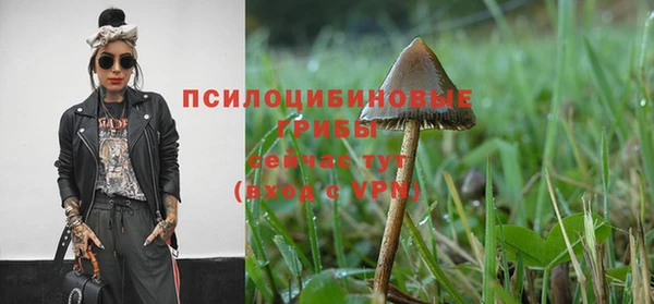 каннабис Абинск