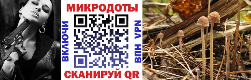 Псилоцибиновые грибы мицелий  Алексеевка 